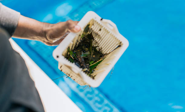 Best Yard Waste Removal  in Lake San Marcos, CA